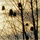 helplessness