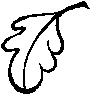 wpe3.gif (1360 bytes)
